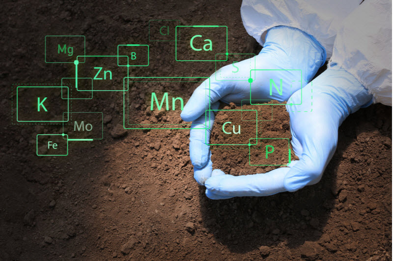 Scientist with sample of soil outdoors